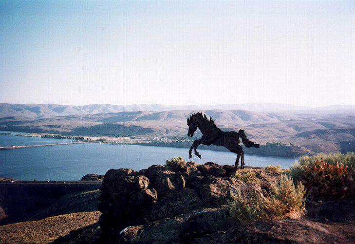 Wilde Horse.jpg (242649 bytes)
