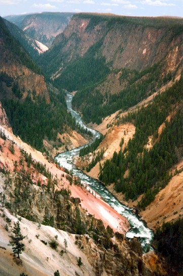Yellowstone3.jpg (80379 bytes)