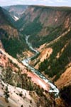 Yellowstone3t.jpg (13749 bytes)